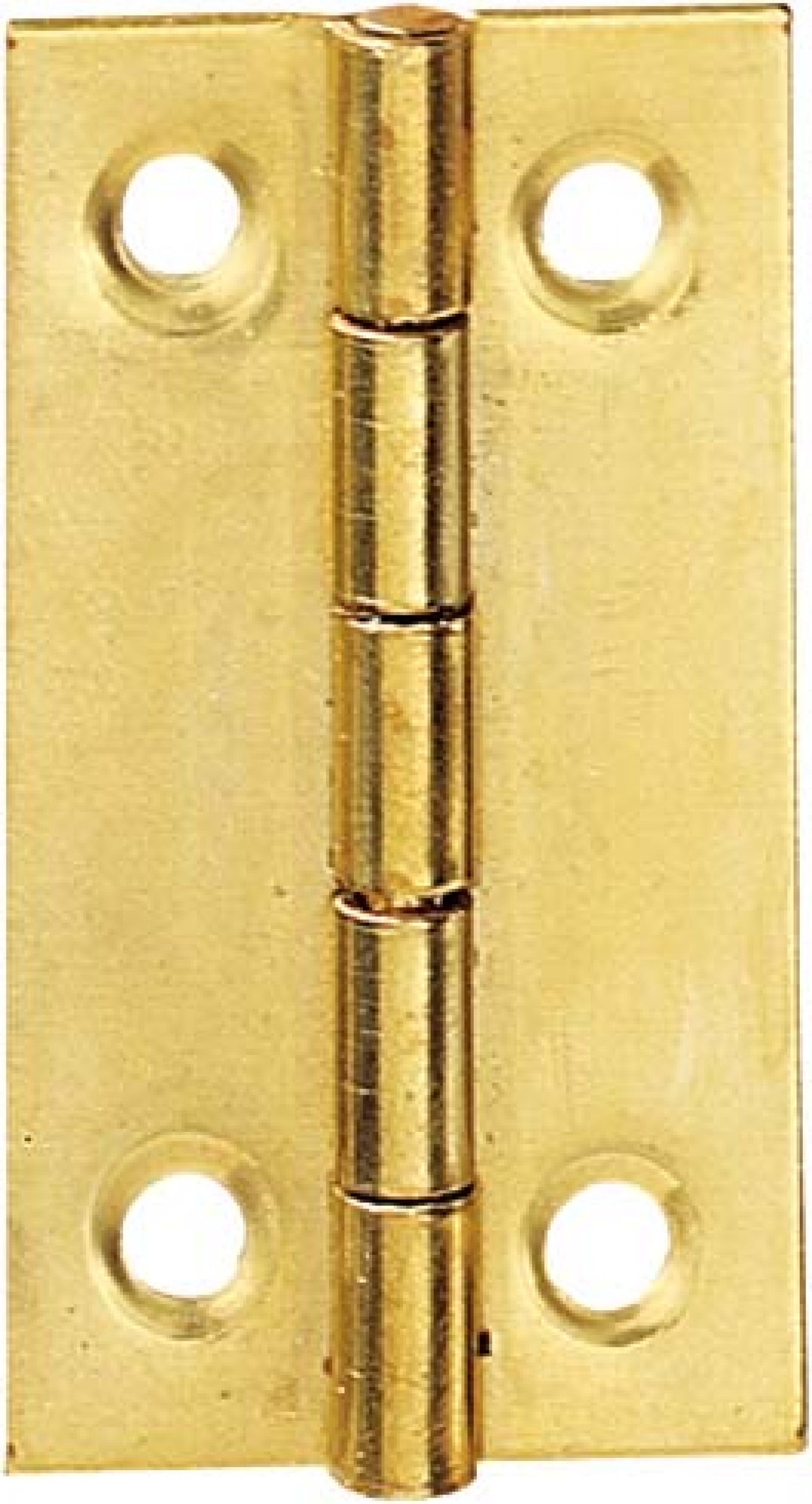 Dobradiça Móvel 40x25mm