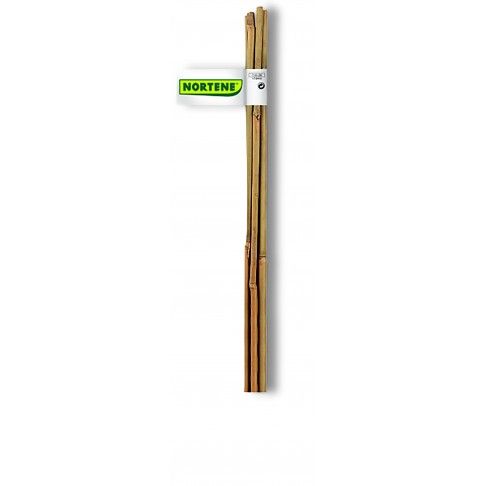 Tutor Bambu 90cm Tutor Bambu 90cm