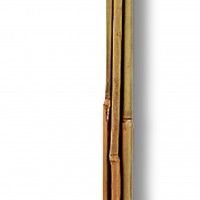 Tutor Bambu 90cm Tutor Bambu 90cm