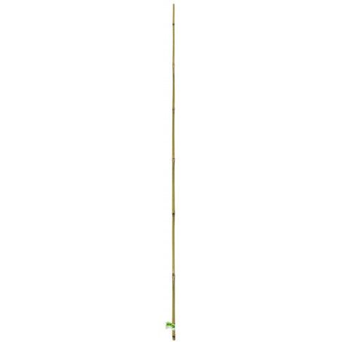 Tutor Bambu 90cm Tutor Bambu 90cm