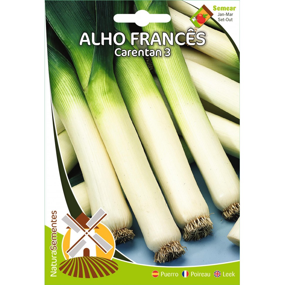 Alho Franc�s Carentan 3