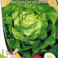 Alface Maravilha De Verão Ks2 Alface Maravilha De Verão Ks2