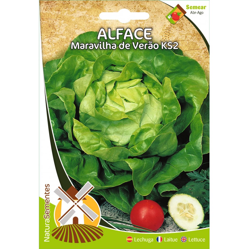 Alface Maravilha De Ver�o Ks2