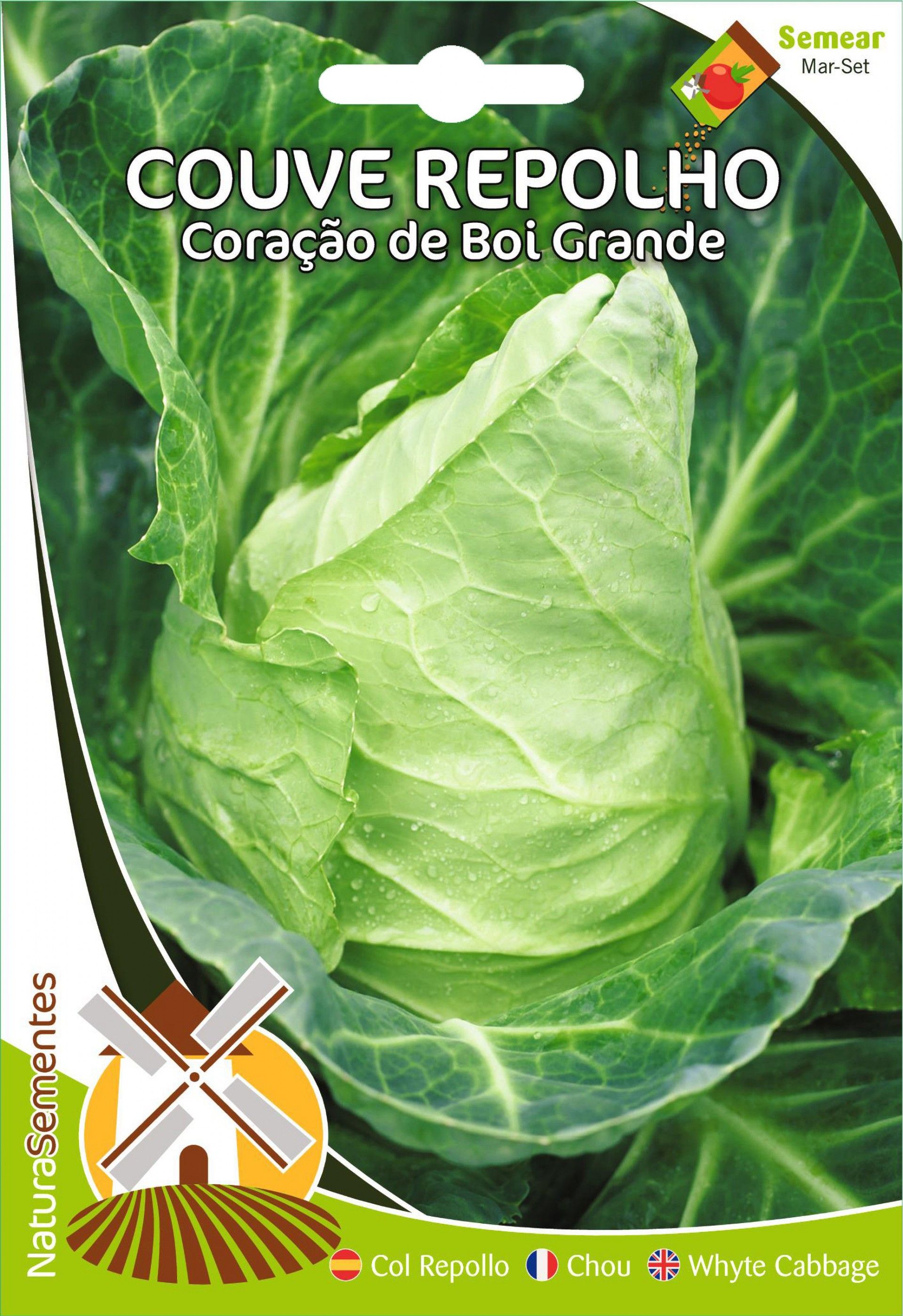 Couve Repolho Coração De Boi Grande