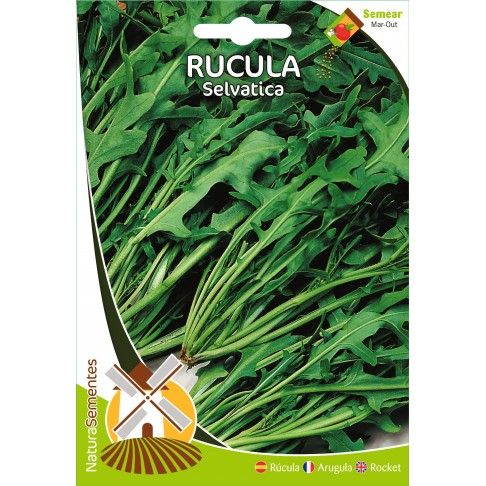 Rúcula Selvática Rúcula Selvática