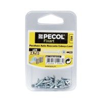 Parafuso Autoroscante Cabeça Lent.Ph 2,9x13 Aço Zn Bl25 Parafuso Autoroscante Cabeça Lent.Ph 2,9x13 Aço Zn Bl25