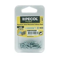Parafuso Autoroscante Cabeça Q. Ph 2,9x13 Aço Zn Bl 30 Parafuso Autoroscante Cabeça Q. Ph 2,9x13 Aço Zn Bl 30