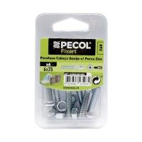 Parafuso  Cabe�a Queijo M6x25 + Porca Zn Bl 12