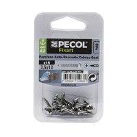 Parafuso Auto Roscante Cabe�a Queijo Ph A2 6x12,70 Inox Bl15