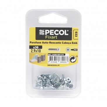 Parafuso P/Chapa Cabe�a Embeber A�o Zn  2,9x10 Bl 30