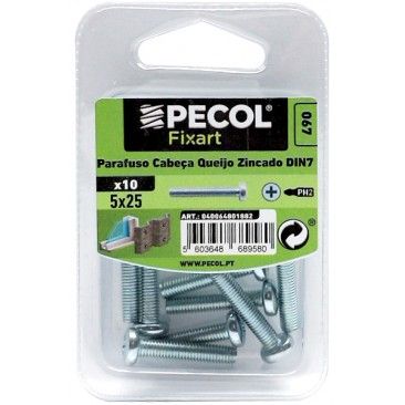 Parafuso Cabe�a Queijo Ferro Zincado M5x25 Bl 10