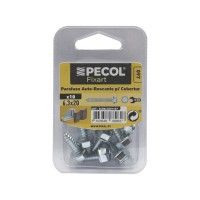 Parafuso P/Cobertura Aço Zincado 6,3x20 Bl 10 Parafuso P/Cobertura Aço Zincado 6,3x20 Bl 10