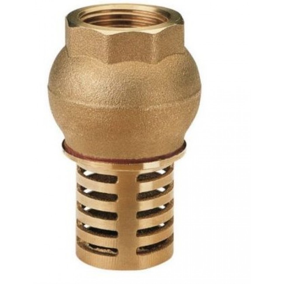 V�lvula Chupadouro De Po�o F�mea 11/4"