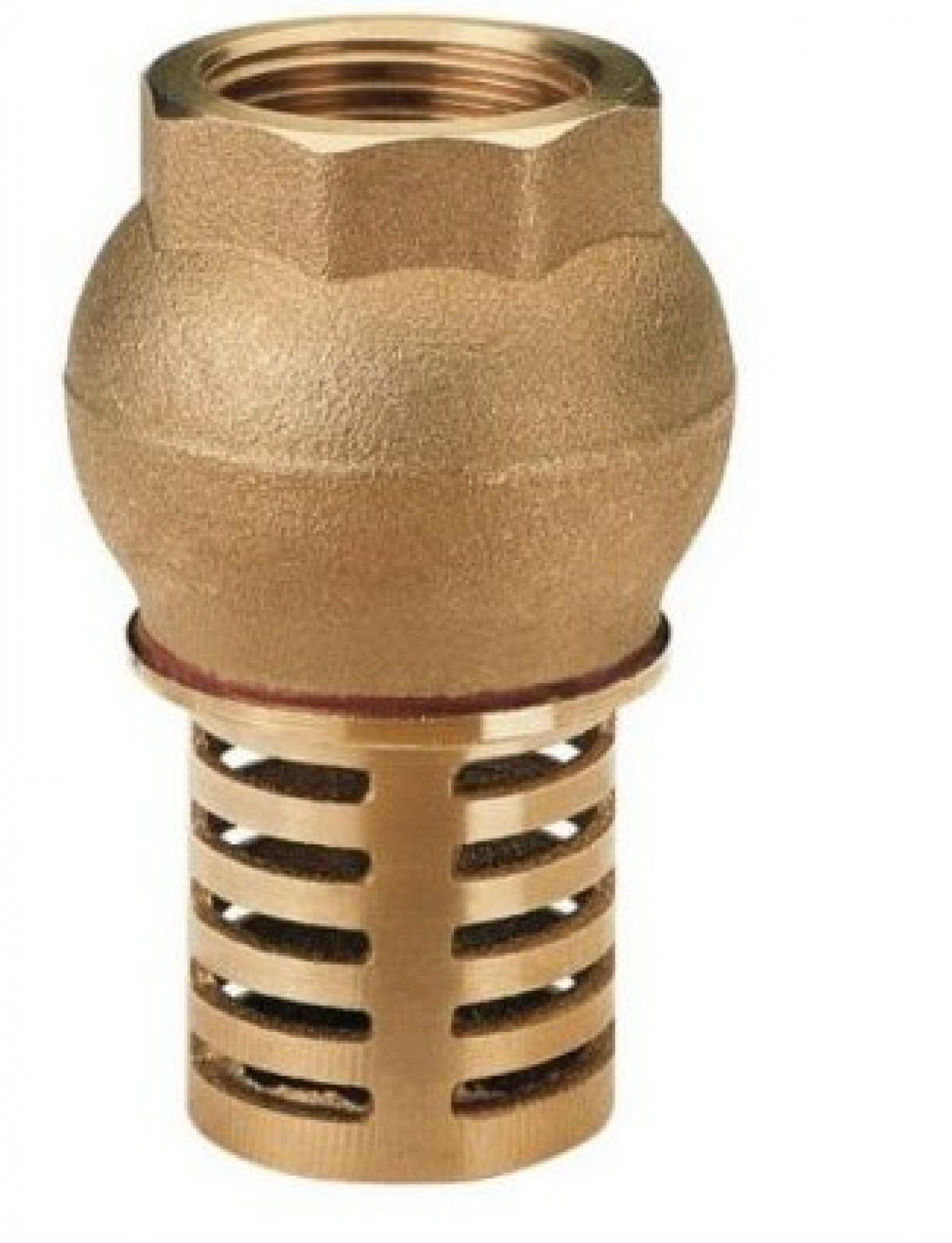 Válvula Chupadouro De Poço Fêmea 11/4"