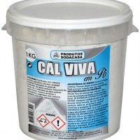 Cal Viva Em Pó Balde 1kg Cal Viva Em Pó Balde 1kg