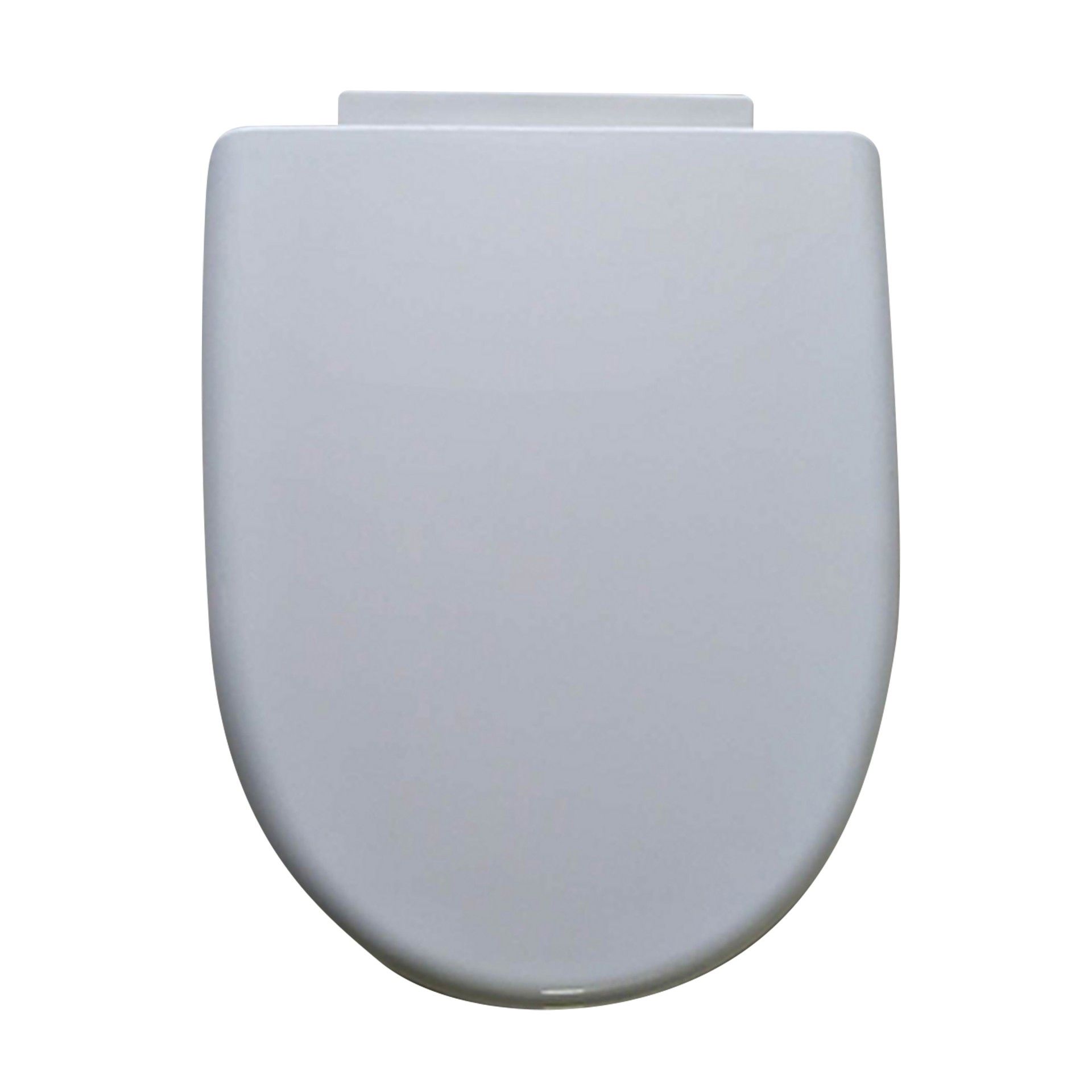 Tampa Sanita Nápoles