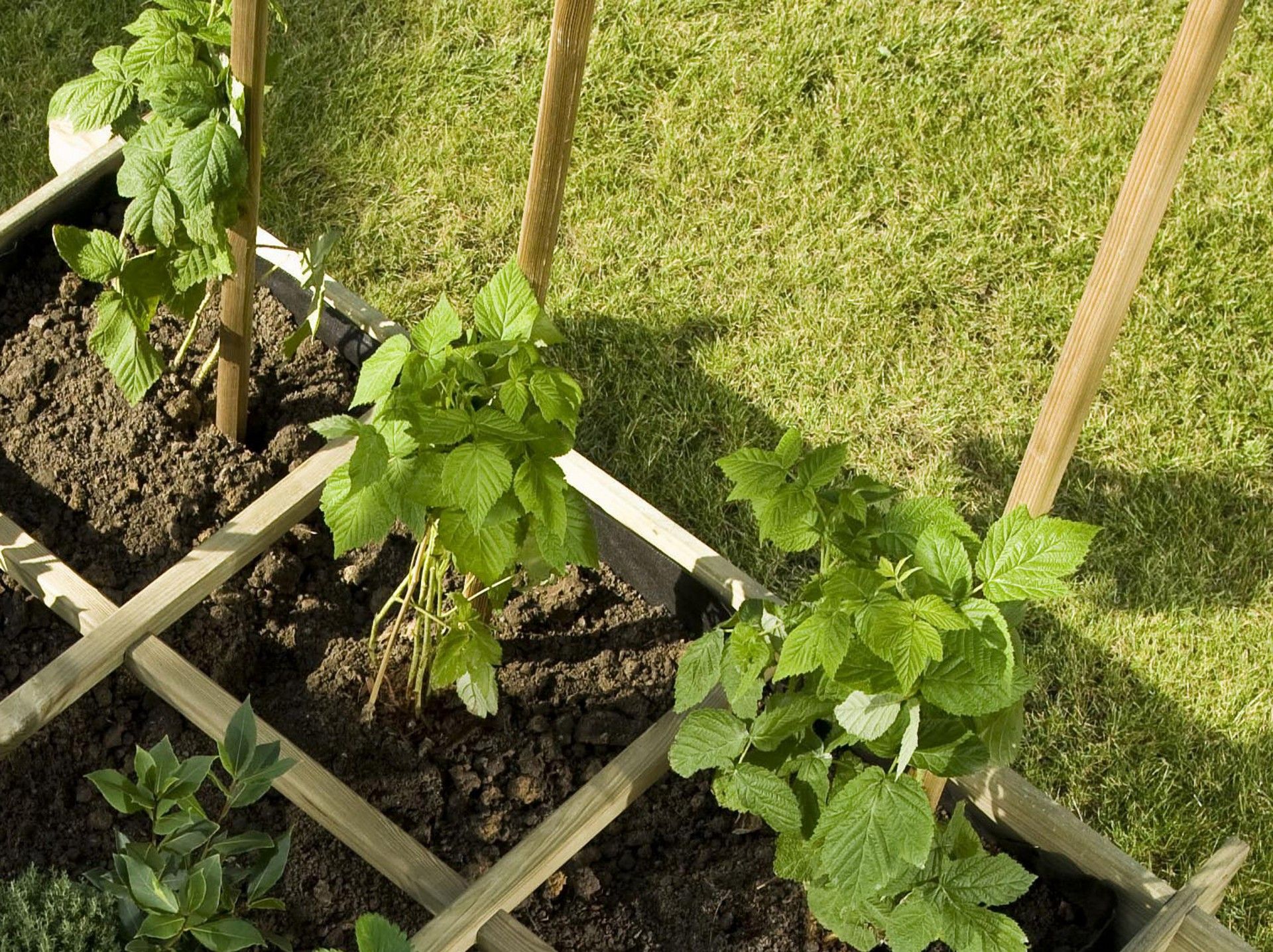 Tutores Horticolas 150x2,7 6un