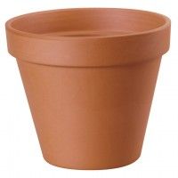 Vaso Standard 10 Vaso Standard 10