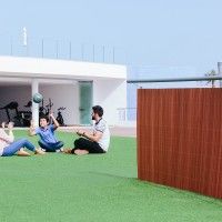 Vime Lop 1x3m Castanho Vime Lop 1x3m Castanho
