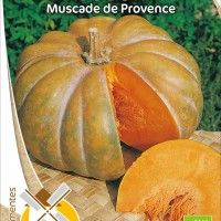 Abóbora Muscade De Provence Bio Abóbora Muscade De Provence Bio