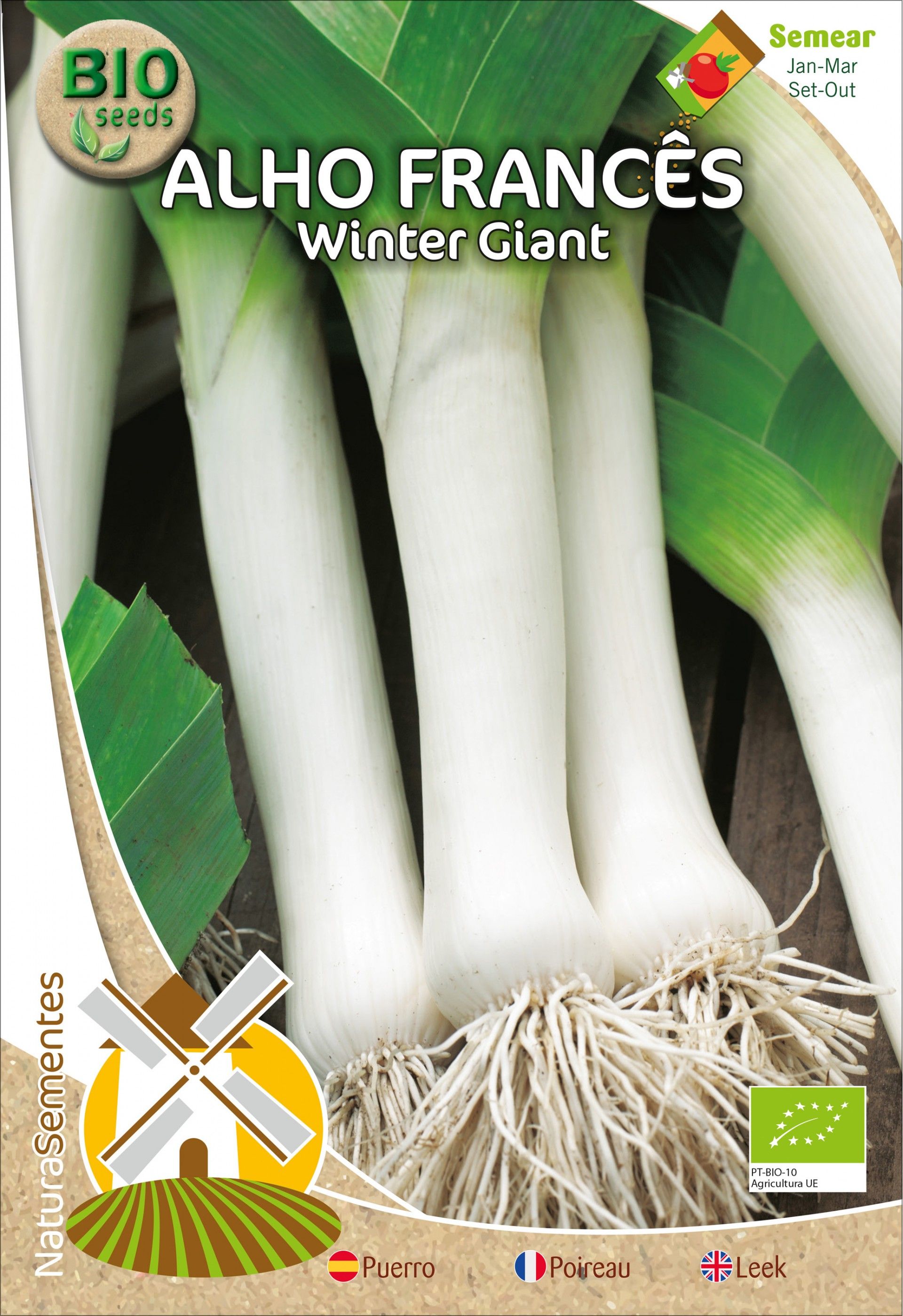 Alho Francês Winter Giant Bio