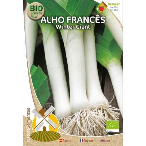 Alho Francês Winter Giant Bio Alho Francês Winter Giant Bio