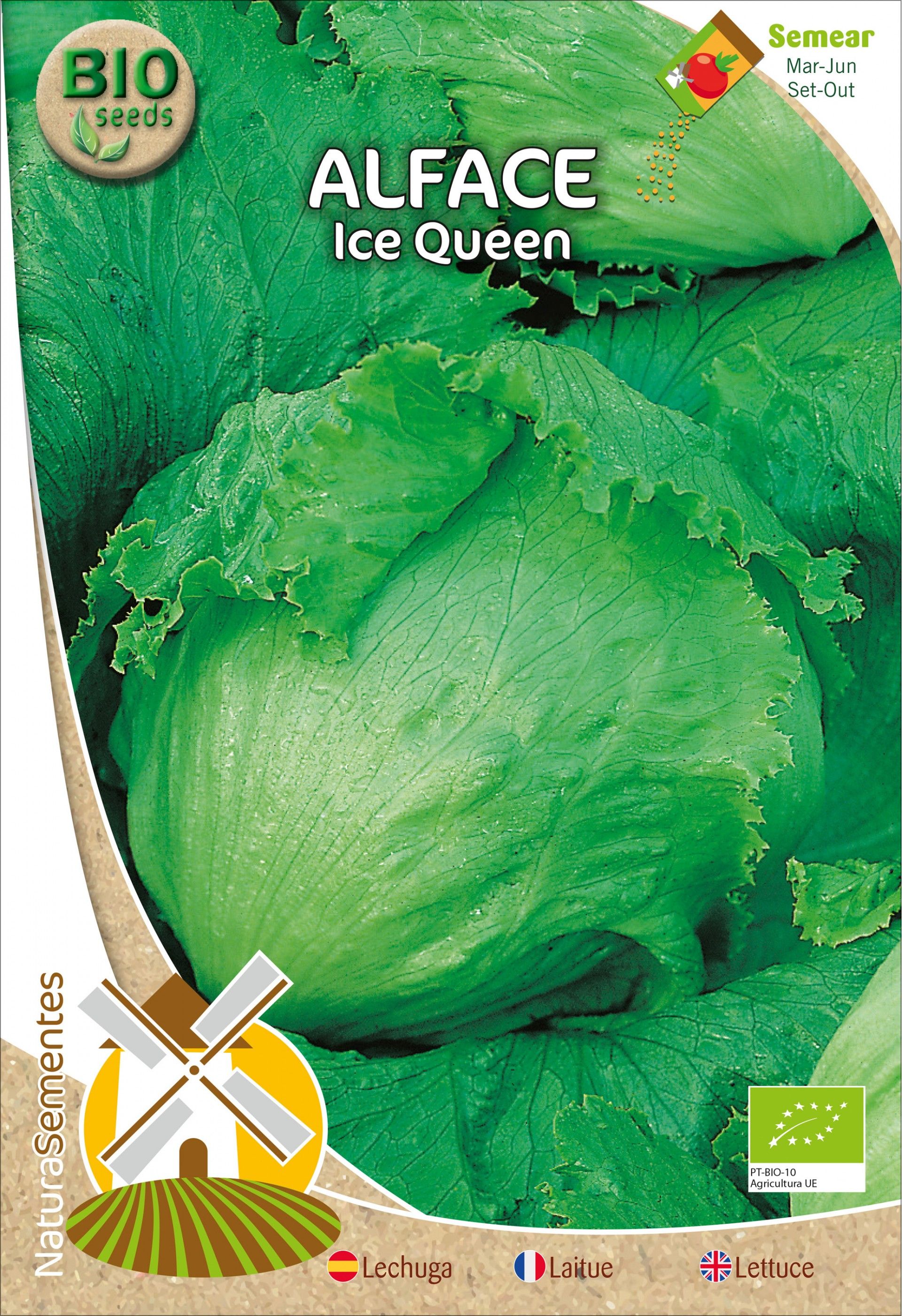 Alface Ice Queen Bio