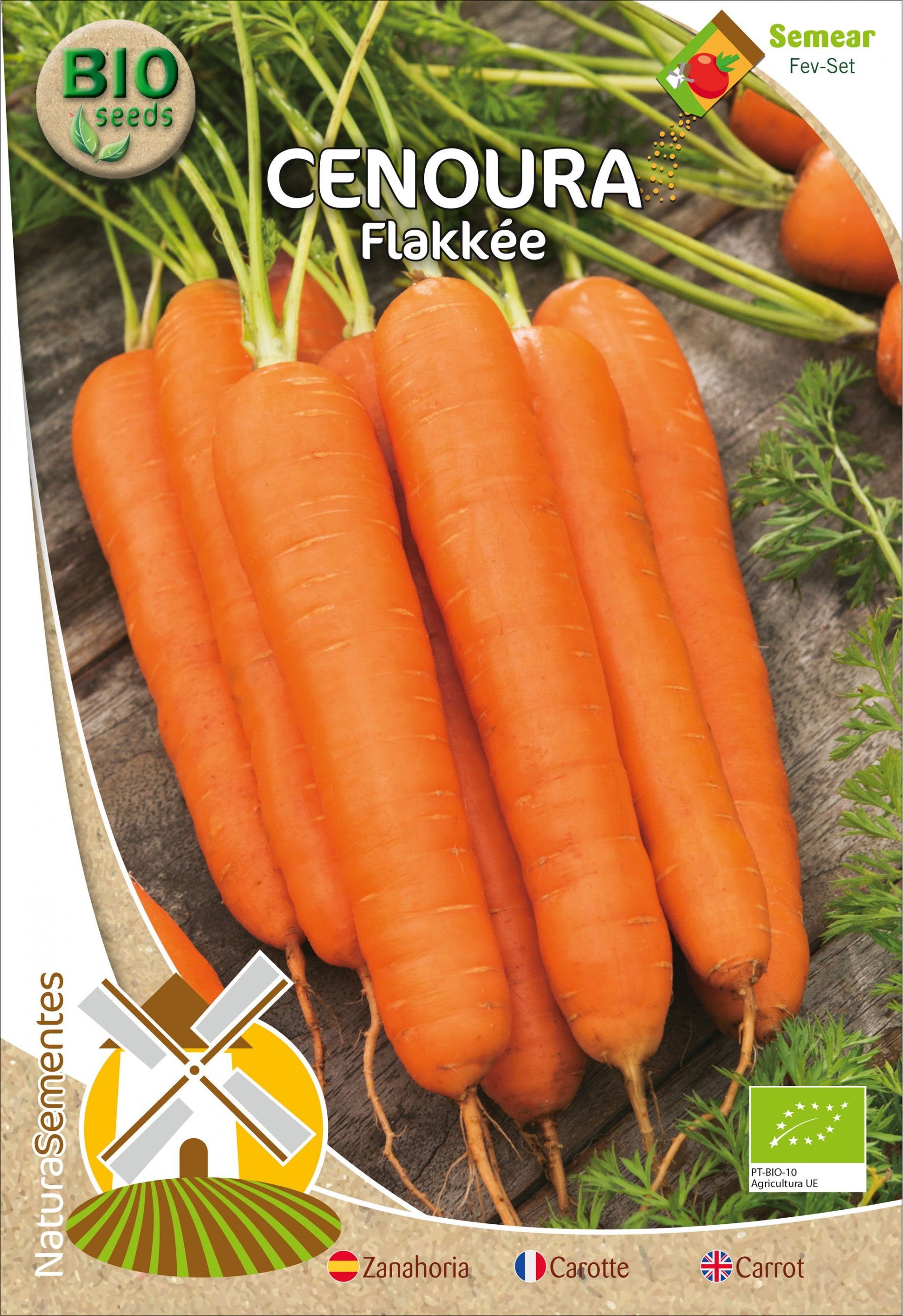 Cenoura Flakkee Bio