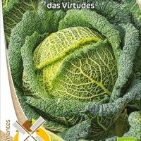 Couve Lombarda Das Virtudes Bio Couve Lombarda Das Virtudes Bio