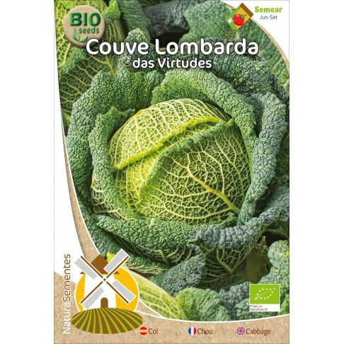 Couve Lombarda Das Virtudes Bio Couve Lombarda Das Virtudes Bio