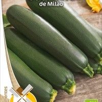 Courgete De Milão Bio Courgete De Milão Bio