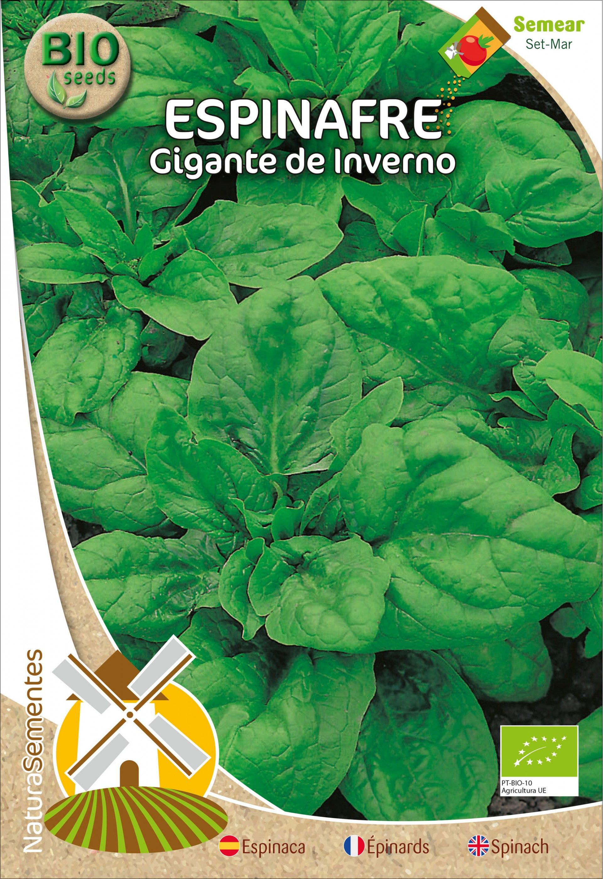 Espinafre Gigante De Inverno Bio