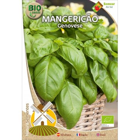 Mangericão Genovese Bio Mangericão Genovese Bio