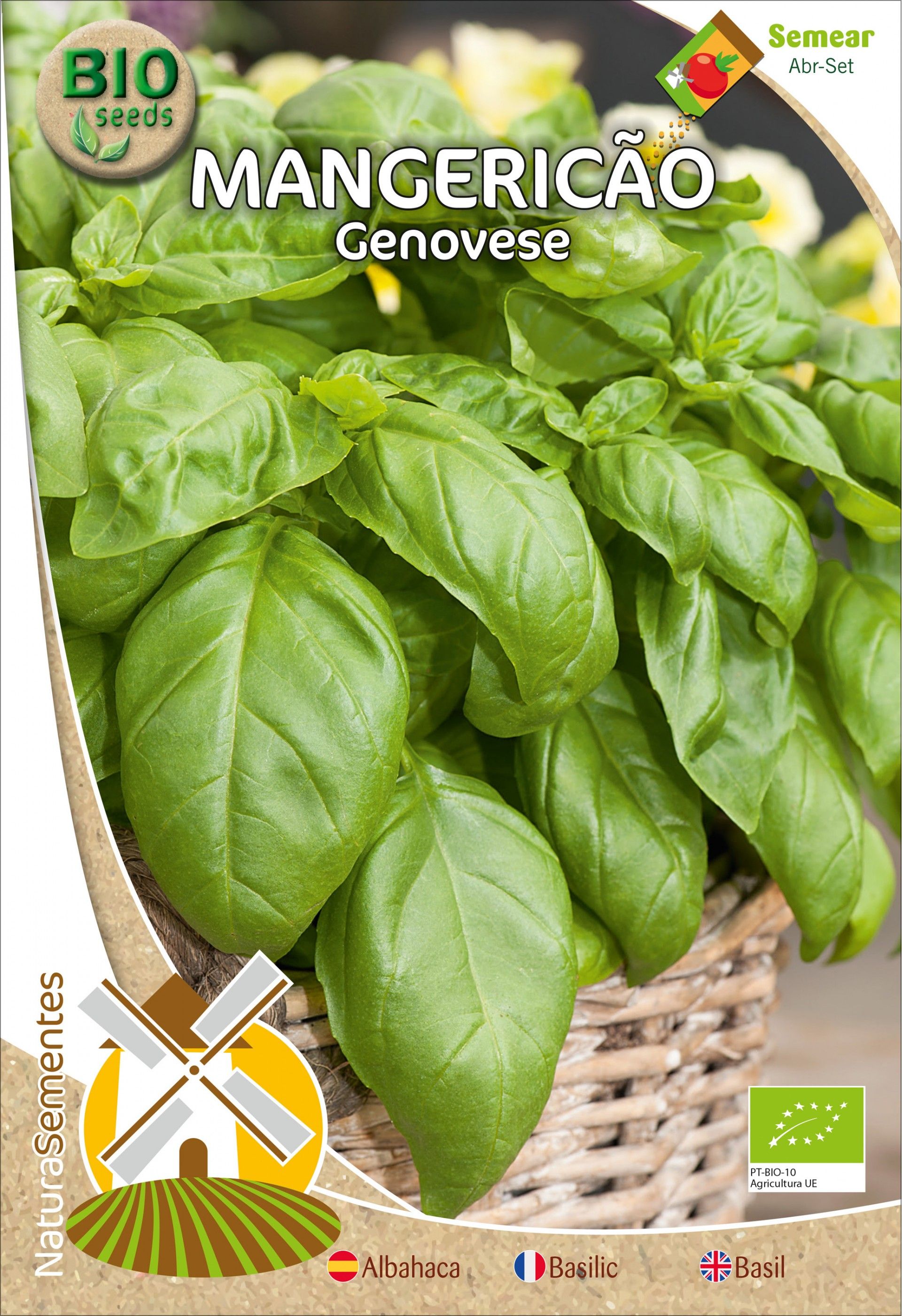 Mangericão Genovese Bio