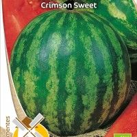 Melancia Crimson Swwet Bio Melancia Crimson Swwet Bio