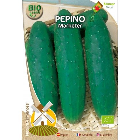 Pepino Marketer Bio Pepino Marketer Bio