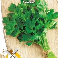 Salsa Comum Bio Salsa Comum Bio
