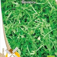 Rúcula Selvática Bio Rúcula Selvática Bio