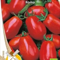 Tomate Roma Bio Tomate Roma Bio
