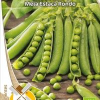 Ervilha Meia Estaca Rondo Bio Ervilha Meia Estaca Rondo Bio