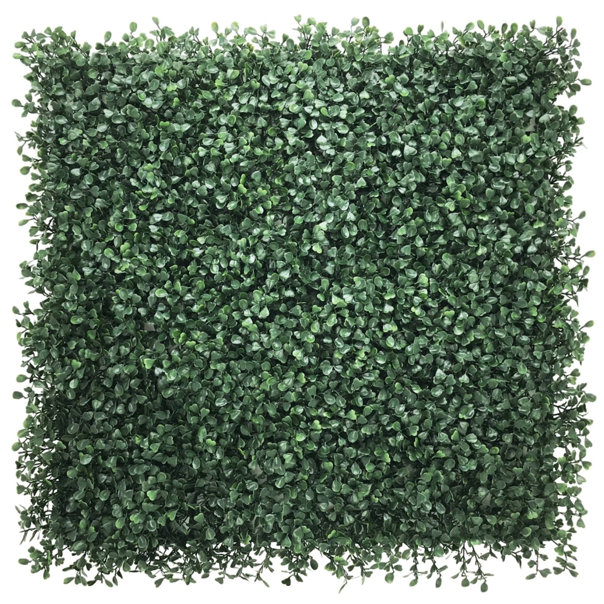 Jardim Vertical 4un 50x50cm Boxwood