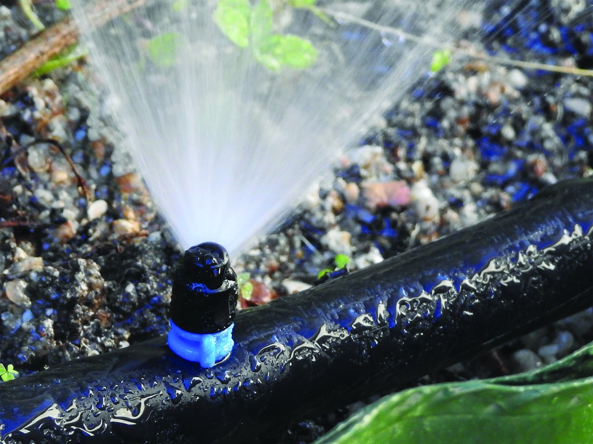 Micro Aspersor Maxi Jet 90º 10un