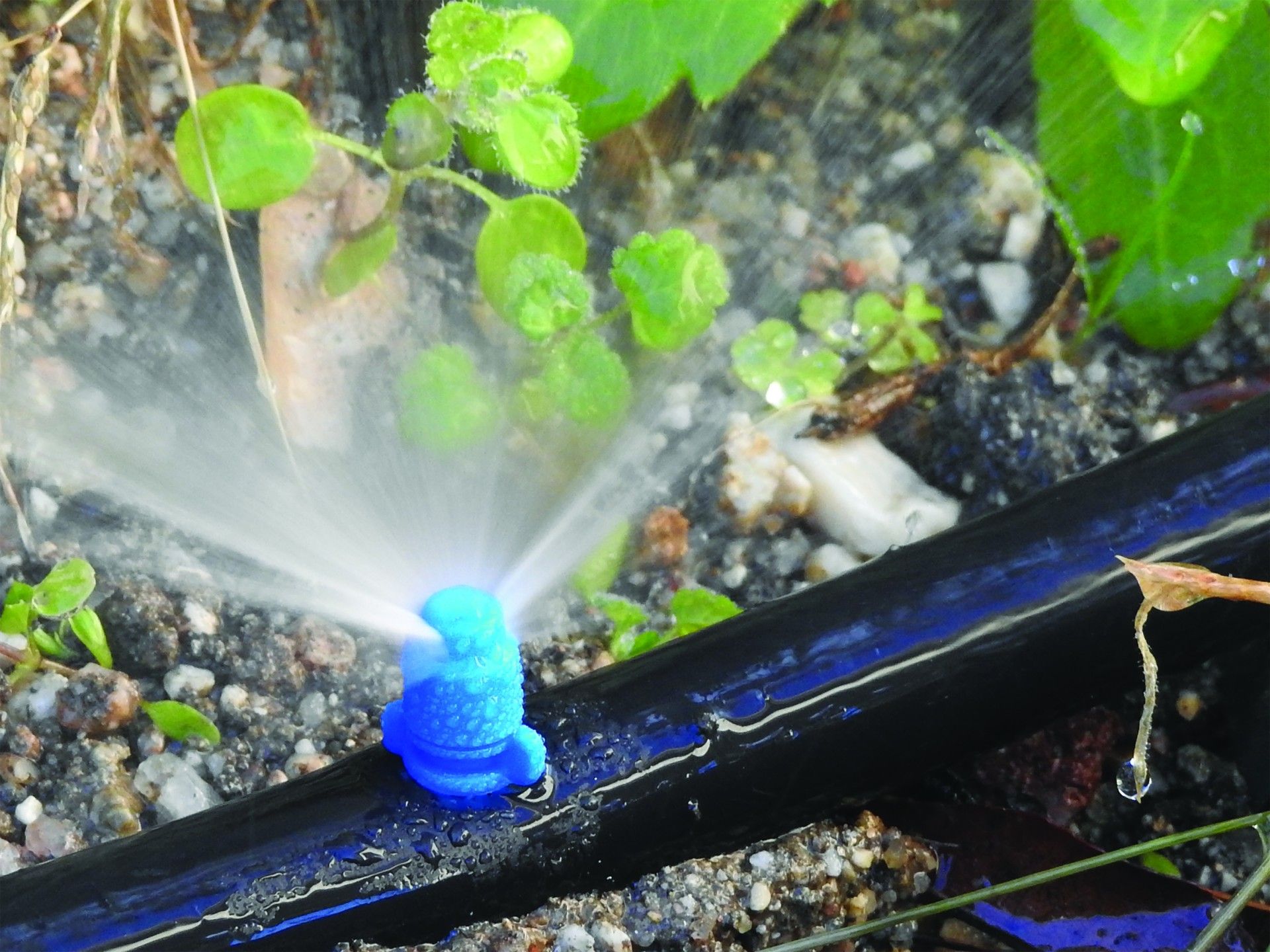 Micro Aspersor Maxi Jet 180º 10un