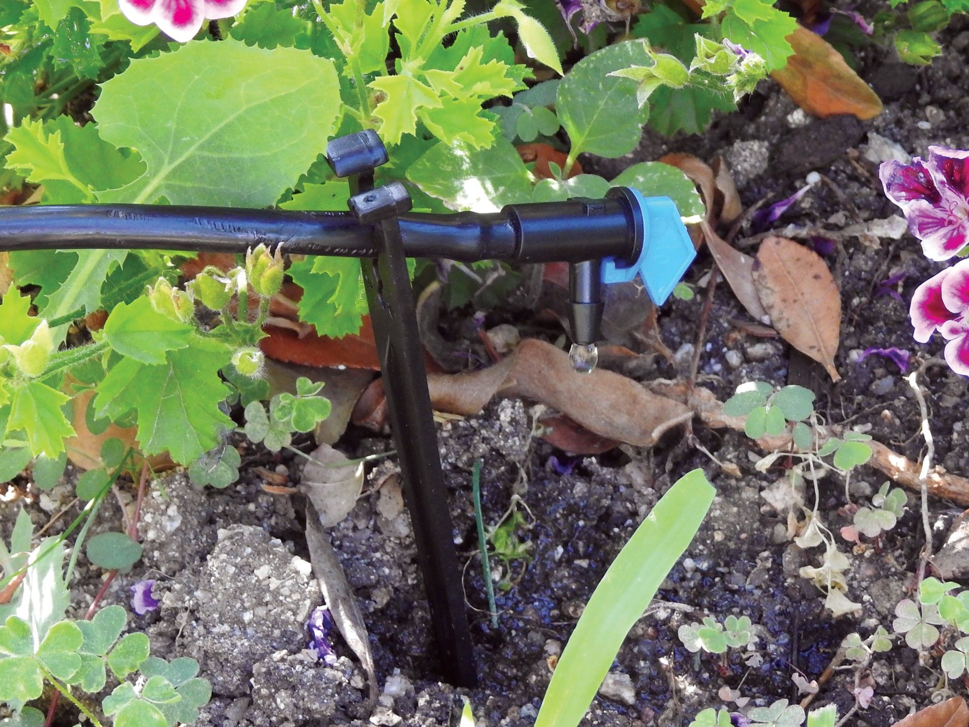 Gotejador Bandeira 8 L/H 10un