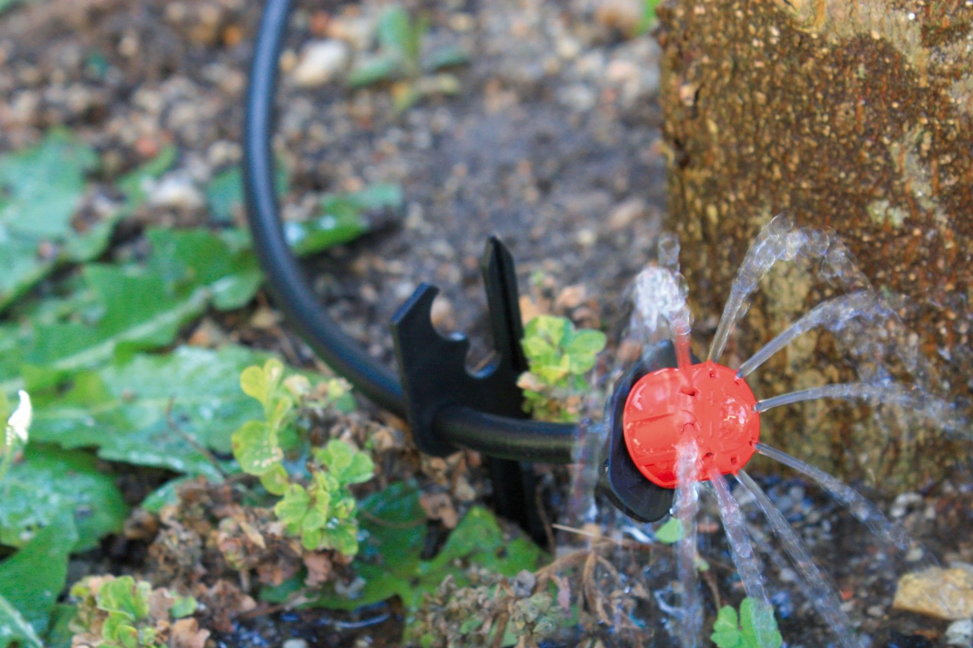 Gotejador 0-60 L/H 10un