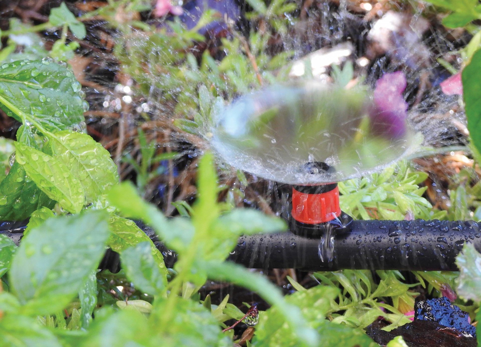 Gotejador Regulável 0-80 L/H 10un