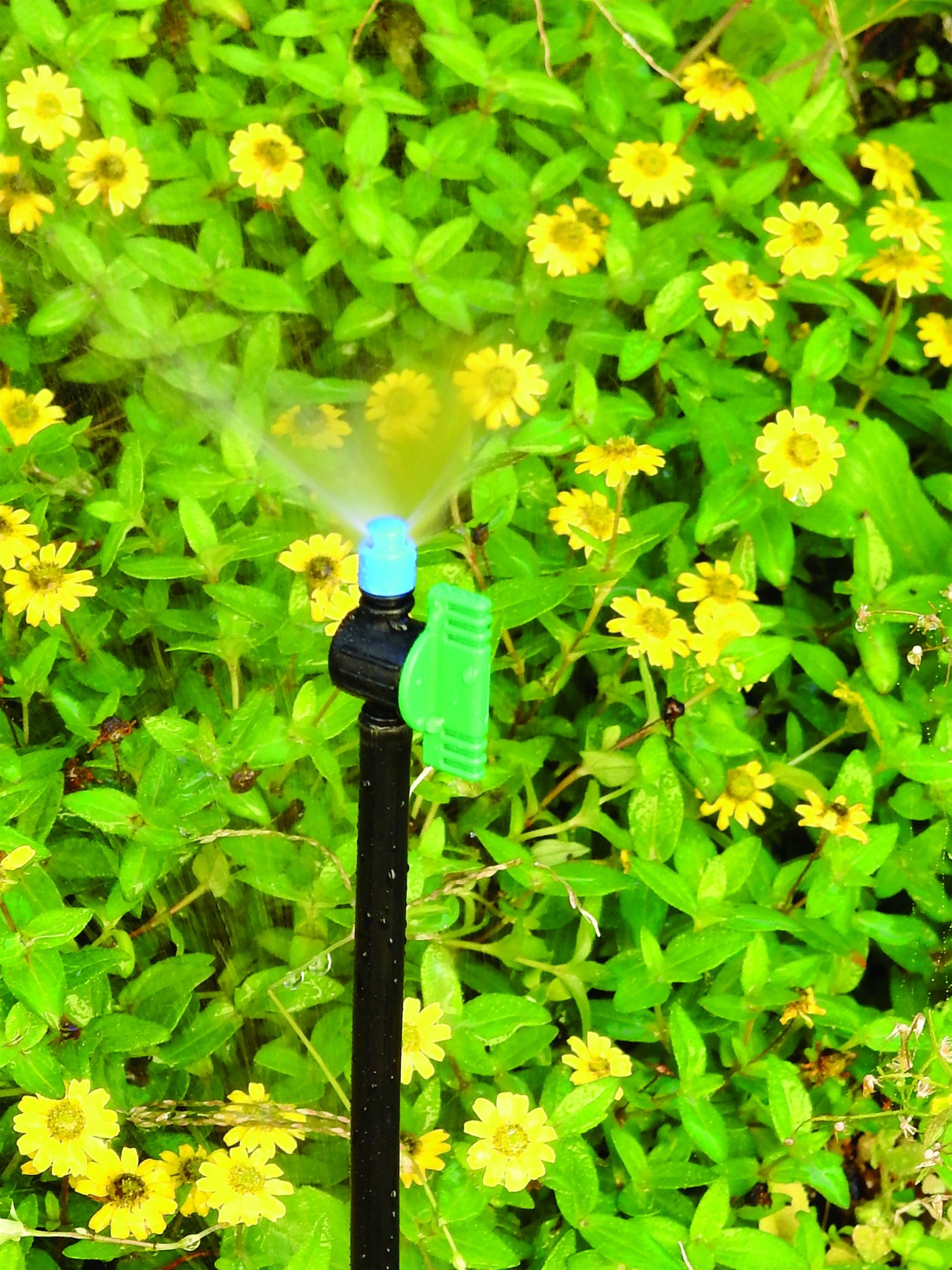 Microaspersor Vari Jet 180º 3un