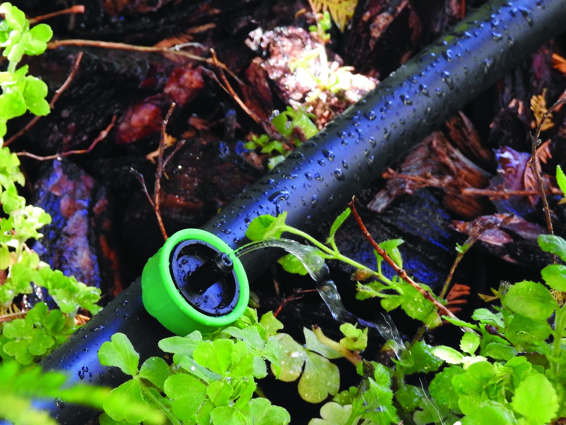 Gotejador 4 L/H 10un