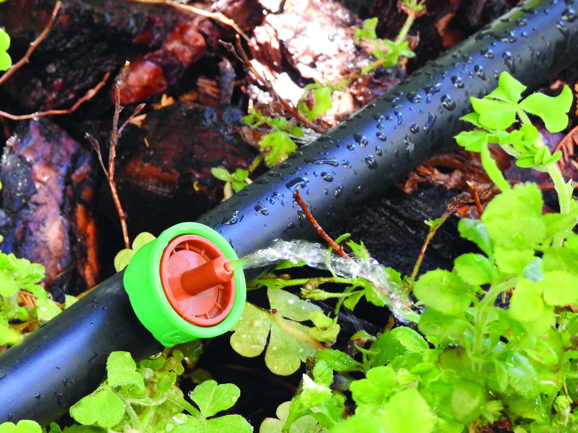 Gotejador 8 L/H 10un