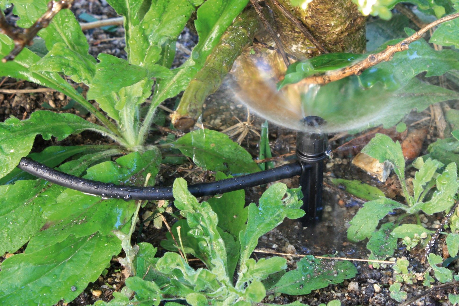 Gotejador Reg 0-80 L/H 10un